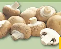 REWE Center Rewe Regional Champignons Angebot