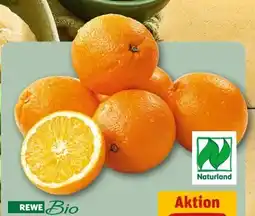 REWE Center Rewe Bio Orangen Angebot