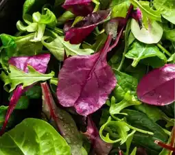 REWE Center Rewe Beste Wahl Wildkräuter Salat Angebot