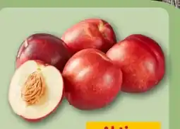 REWE Center Rewe Beste Wahl Nektarinen Angebot