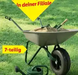 Lidl Lupilu Schubkarre Angebot