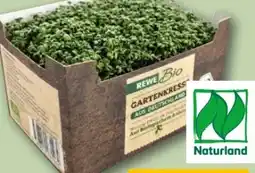 REWE Center Rewe Bio Bio-Gartenkresse Angebot