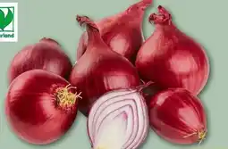 REWE Center Rewe Bio Bio-Speisezwiebeln Angebot