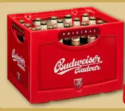 REWE Center Budweiser Budvar (CZ) Czech Premium Lager Angebot