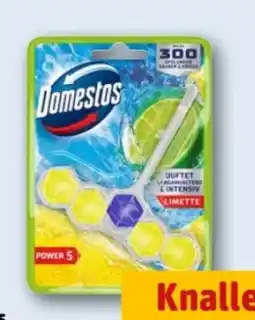 REWE Center Domestos WC Steine Power 5 Limette Angebot