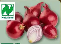 REWE Rewe Bio Bio-Speisezwiebeln Angebot