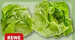 REWE Rewe Beste Wahl Kopfsalatherzen Angebot