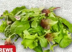 REWE Rewe Beste Wahl Wildkräuter Salat Angebot