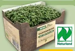 REWE Rewe Bio Bio-Gartenkresse Angebot