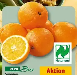 REWE Rewe Bio Orangen Angebot
