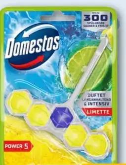 REWE Domestos WC Steine Power 5 Limette Angebot