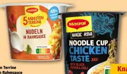 REWE Maggi 5 Minuten Terrine Nudeln in Rahmsauce Angebot