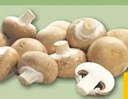 REWE Rewe Regional Champignons Angebot