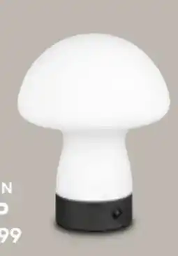 porta Akku-LED-Tischleuchte Angebot