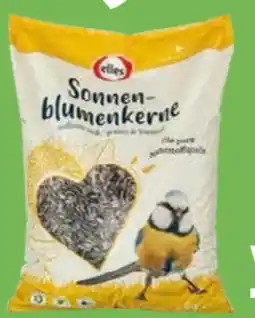 Globus Baumarkt Elles Sonnenblumenkerne Angebot
