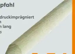 Globus Baumarkt Baumpfahl Angebot