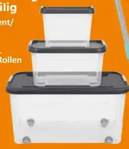 Globus Baumarkt Aufbewahrungsboxen-Set Angebot