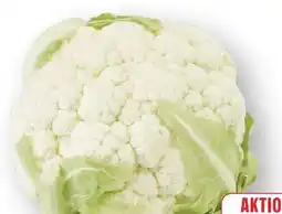 Edeka Blumenkohl Angebot