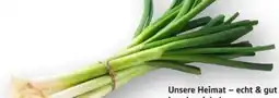 Edeka Unsere Heimat Echt & Gut Lauchzwiebeln Angebot