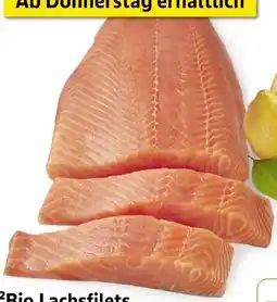 Edeka Bio-Lachsfilet Angebot