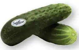 Scheck-in-Center SanLucar Landgurken Angebot