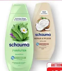 Edeka Schwarzkopf Schauma Shampoo Angebot