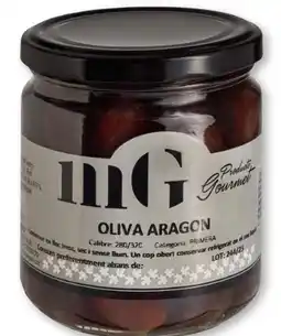 Scheck-in-Center MasGuso Oliva Aragon Angebot