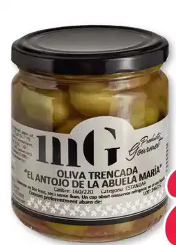 Scheck-in-Center MasGuso Oliva Trencada Angebot