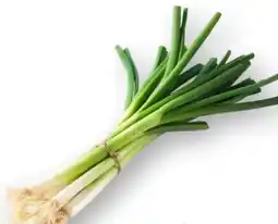 Scheck-in-Center Lauchzwiebeln Angebot