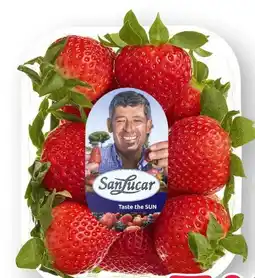 Scheck-in-Center SanLucar Erdbeeren Angebot