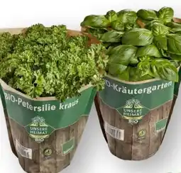 Scheck-in-Center Unsere Heimat Echt & Gut Bio Petersilie kraus Angebot