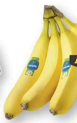 Scheck-in-Center Chiquita Bananen Angebot