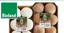Scheck-in-Center Unsere Heimat Echt & Gut Bio-Champignons Angebot
