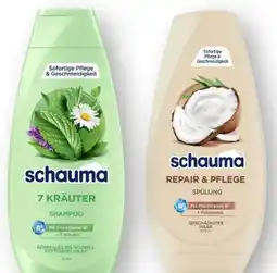 Scheck-in-Center Schwarzkopf Schauma Shampoo Angebot