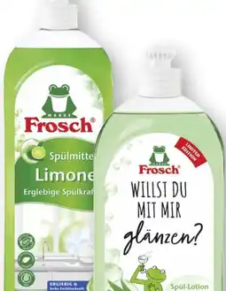 Scheck-in-Center Frosch Spülmittel Angebot
