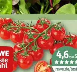 REWE Center Rewe Beste Wahl Mini Cherry Rispentomaten Delizioso Angebot