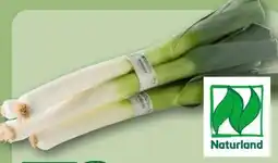 REWE Center Rewe Bio Porree Angebot