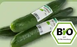 REWE Center Rewe Bio Bio-Salatgurke Angebot