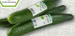 REWE Rewe Bio Bio-Salatgurke Angebot
