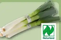 REWE Rewe Bio Porree Angebot