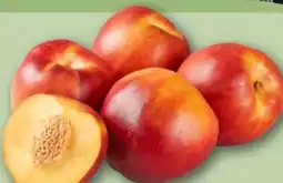 REWE Gelbfleischige Nektarin Angebot