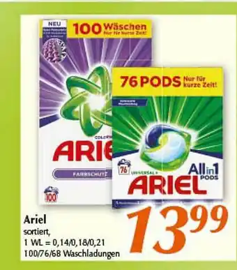 inkoop Ariel Angebot