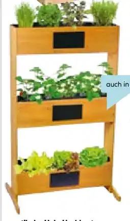 Hellweg Holz-Hochbeet Angebot