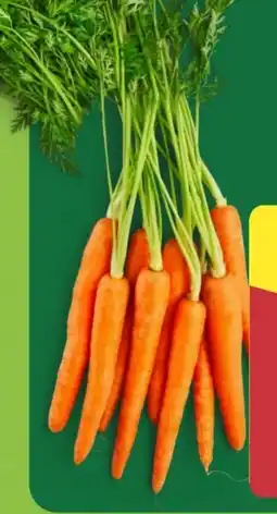 Aldi Nord Bundmöhren Angebot