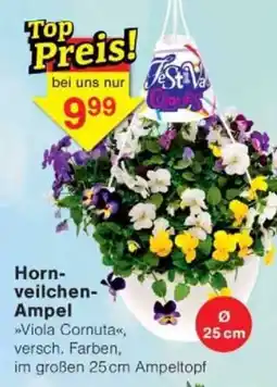 Jawoll Hornveilchen Ampel Angebot