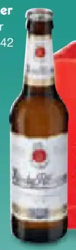Netto Marken-Discount König Pilsener Angebot