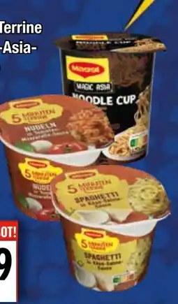 EDEKA Bandelt Maggi 5 Minuten Terrine Angebot