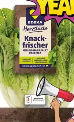 EDEKA Bandelt Edeka Herzstücke Mini Romanasalat Angebot