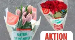 Edeka Frischemarkt Gut & Günstig Moosrosen Angebot