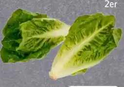 Edeka Frischemarkt Mini-Romanasalat Angebot